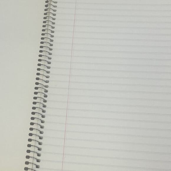 2 Vintage St Louis Baseball Cardinals Spiral Bound Wide Rule Lined Notebooks - Picture 2 of 3